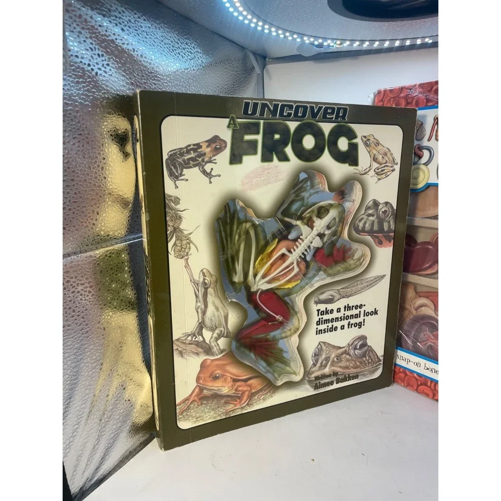 Two Uncover a Frog  and amazing body Three-Dimensional Look Inside a Frog!...